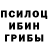 Псилоцибиновые грибы прущие грибы Rick COX
