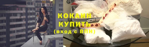 винт Ладушкин