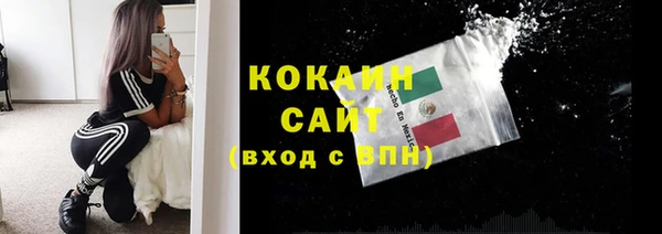 винт Ладушкин