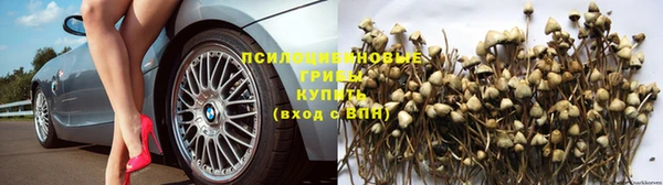 винт Ладушкин